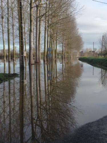 Bedloire