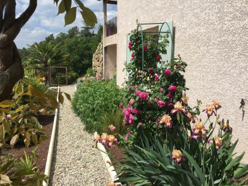 Bed & Breakfast Bellevue