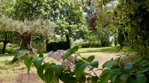 Bed & Breakfast Ch�teau de Cartou