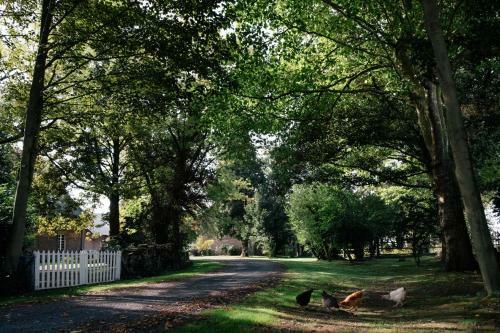 Bed & Breakfast Ferme De L'abbaye