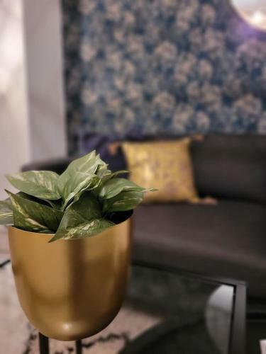 Apartamento Un �crin Au C?ur Du Centre Ville