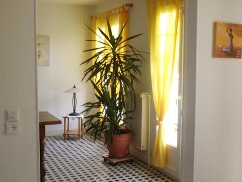 Villa Chanterelle