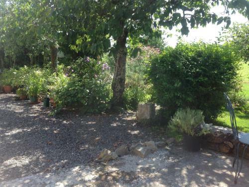 Bed & Breakfast Chambres D'hotes Des Forets