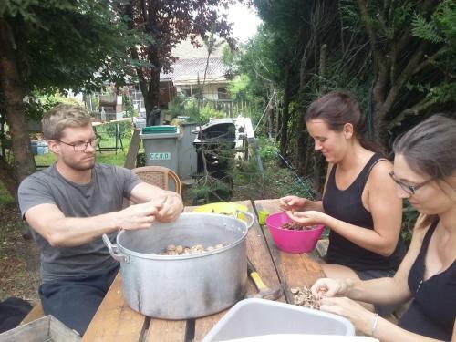 Bed & Breakfast Terroir de Familles
