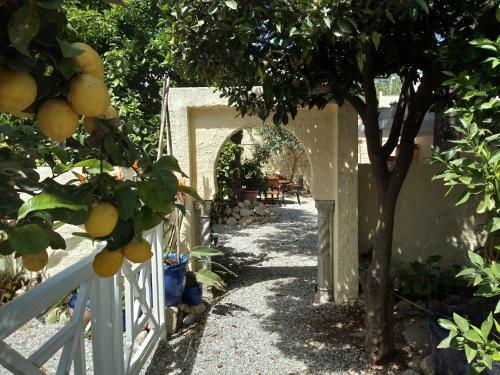Bed & Breakfast L'orangeraie