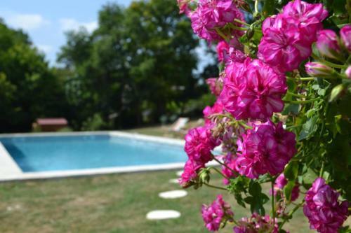 Bed & Breakfast La Casa Nobili
