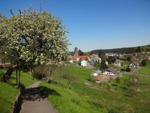Bed & Breakfast Chambre Et Table D'h�tes Du Chant Des Sources