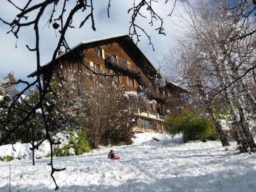 Apartamento Le Vieux Chalet