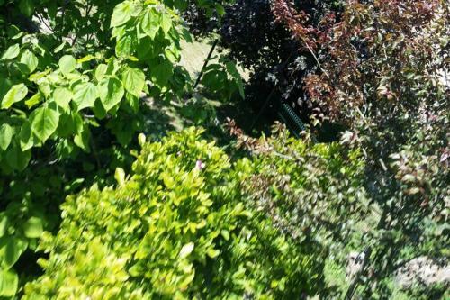Apartamento Aux Nobles Acacias