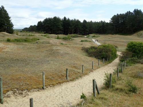 G�te � Les Oyats � � 400 M de La Plage