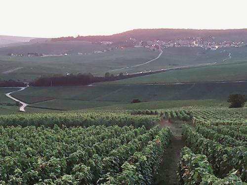 Apartamento Epernay Capital de Champagne
