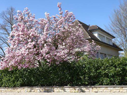 Bed & Breakfast Au Magnolia