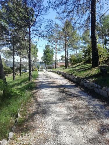 Bed & Breakfast La Pin�de Du Lac