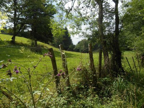 Bed & Breakfast "en Bord De Chemin"