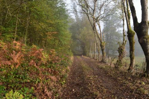 Bed & Breakfast "en Bord De Chemin"
