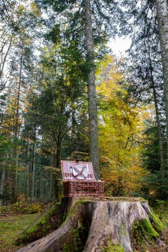 Bed & Breakfast "en Bord De Chemin"