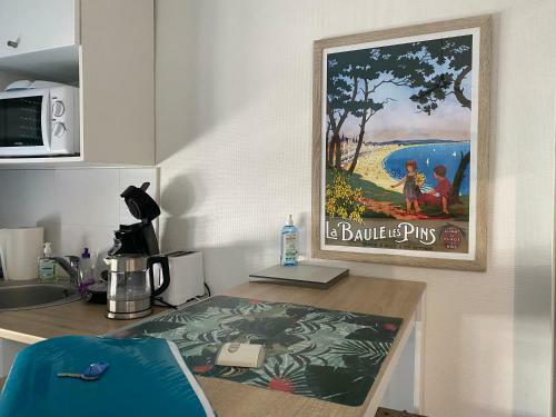Apartamento Studio Terrasse Proximit� Plage!
