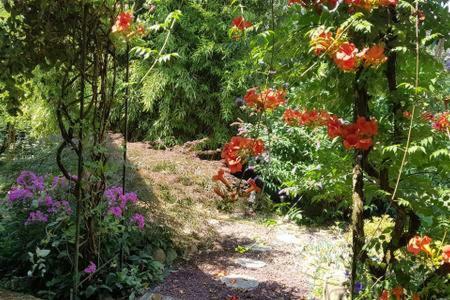 Bed & Breakfast Chambre Dans Ancienne Ferme R�nov�e