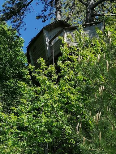 Bed & Breakfast Sherwood Tree