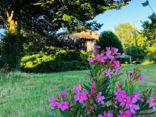 G�te La Linote Sweet Home