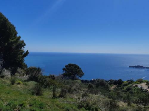 Apartamento Les Bastides D'h�l�ne