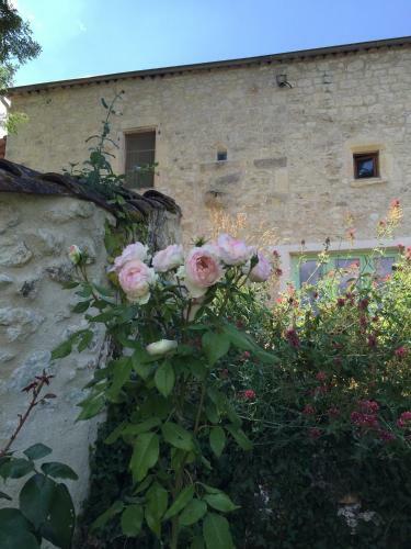 Le Mas Des Papillons B&B