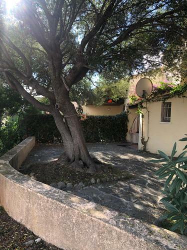 Mini Villa Bord de Mer, Plage Sable Fin 50m