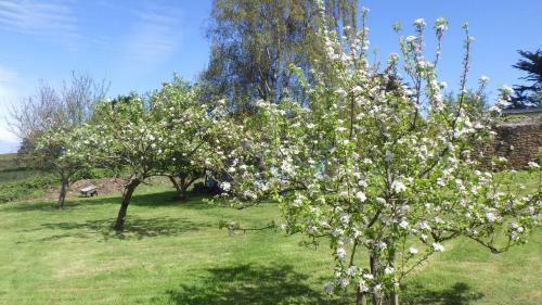 Le Clos Des Roses