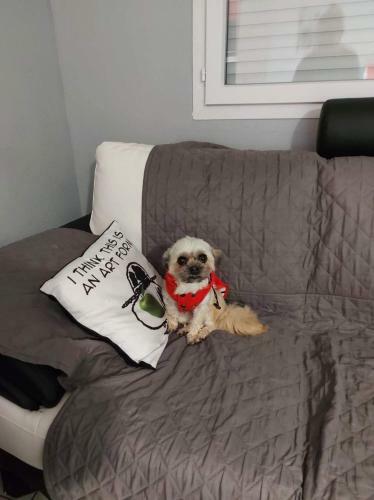 Apartamento Fecamp