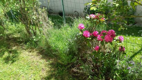 Chambre D'h�te