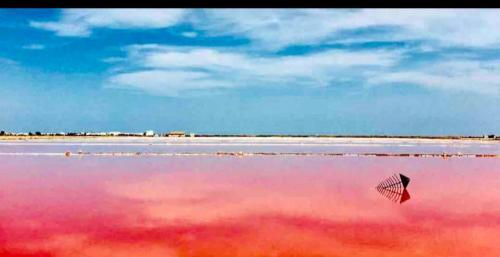 Apartamento Face A La Mer Fleury