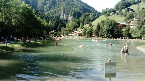 Apartamento Les Portes Du Mont Blanc
