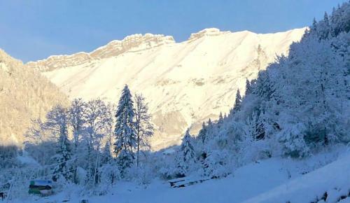 Chalet Marie