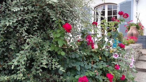 Hostal Chambre D'hotes Le Lavoir