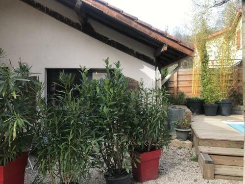 Hostal Matin De Sa�ne