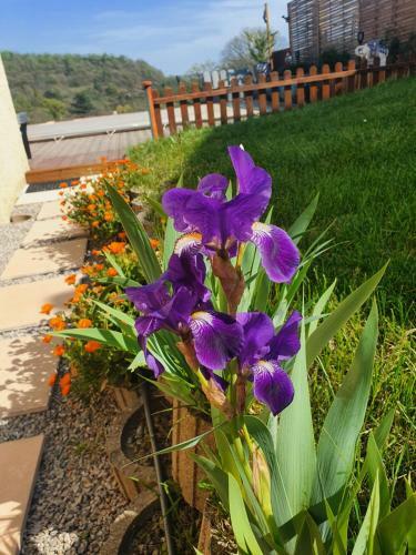 Bed & Breakfast La Maison de Lalouette