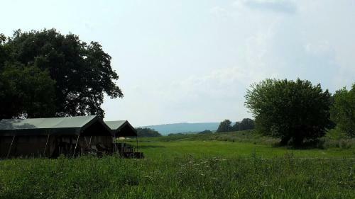 Bed & Breakfast Les �nes de Forcalquier