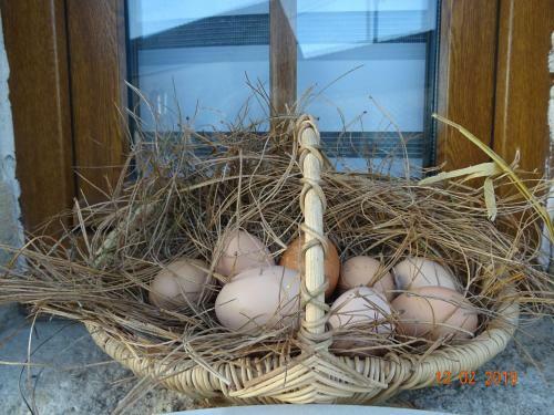 Bed & Breakfast La Ferme Aux Chats