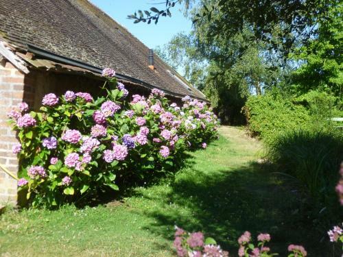 Bed & Breakfast La Sauleraie