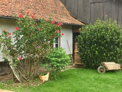 Agroturismo La Fermette de Jules