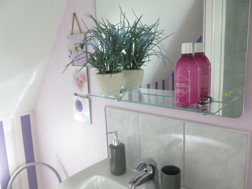 La Grenouillere G�te 3 Chambres