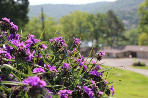 Hotel Mill Creek Resort On Table Rock Lake