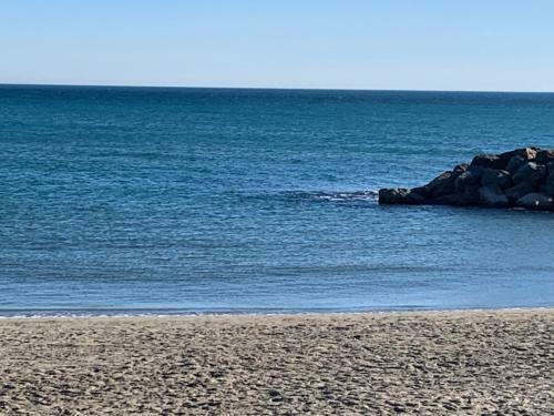 Villa Plage Les Pieds Dans L?eau