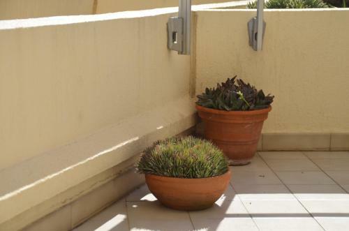 Apartamento R�sidence La Miougrano Frejus Plage
