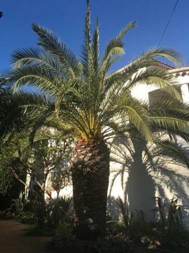 Apartamento Rez de Villa Du P�brier