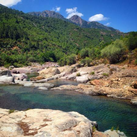 Bed & Breakfast L'auberge Galeria