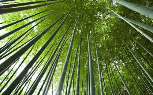Bed & Breakfast Villa Les Jardins D'holi
