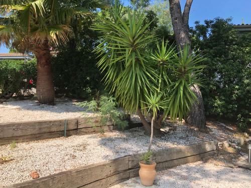 Saint Tropez -parc Oasis