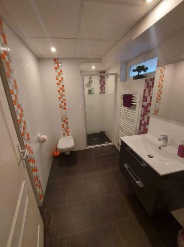 Apartamento R�sidence "au Charron de Geis'pitz"