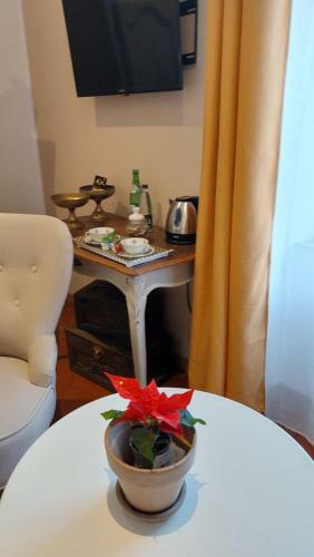 Bed & Breakfast Mas Elena